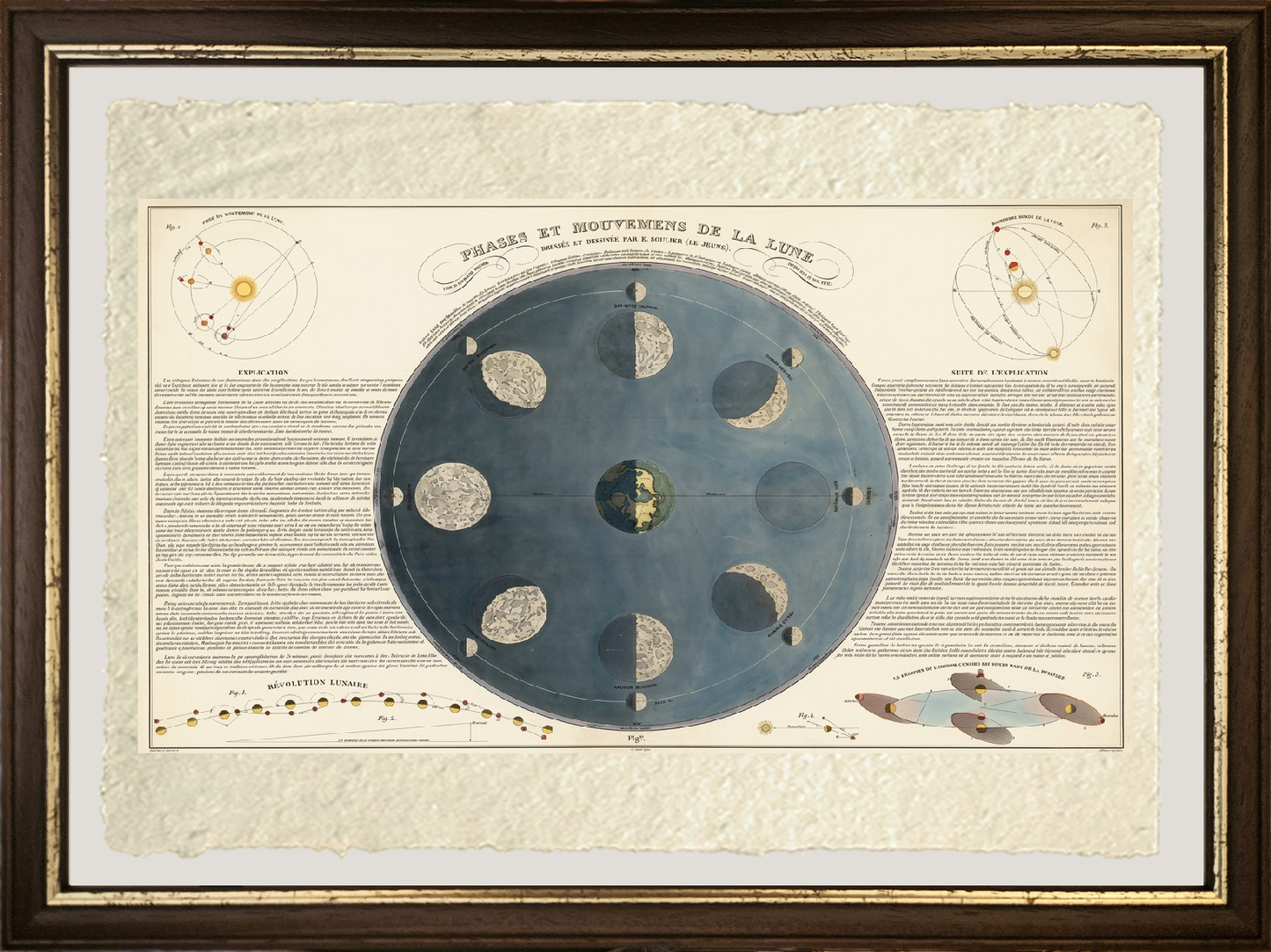 Phases and movements of the Moon - 1850
