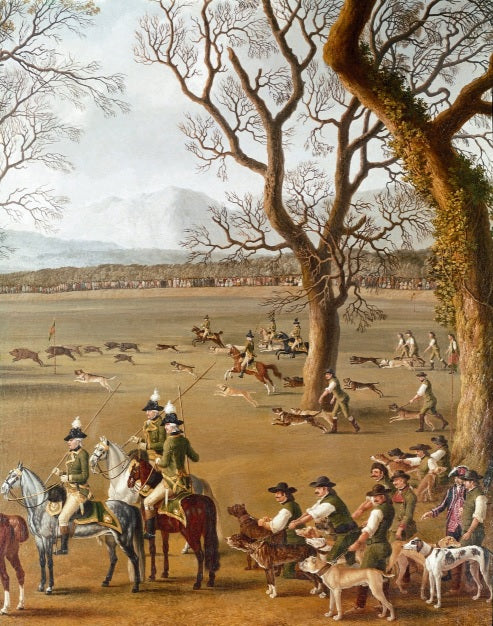 Ferdinando IV caccia il cinghiale nella tenuta di Cassano (dettaglio) - Jakob-Philipp Hackert
