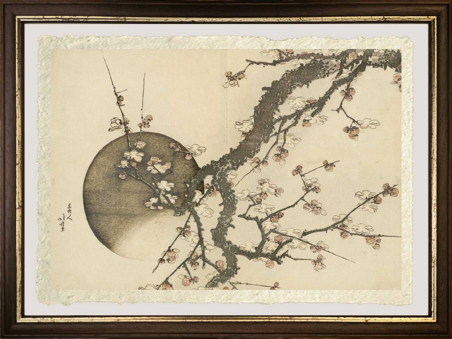 Dettaglio della stampa Fioritura di prugne e la luna di Katsushika Hokusai su carta Amalfi
