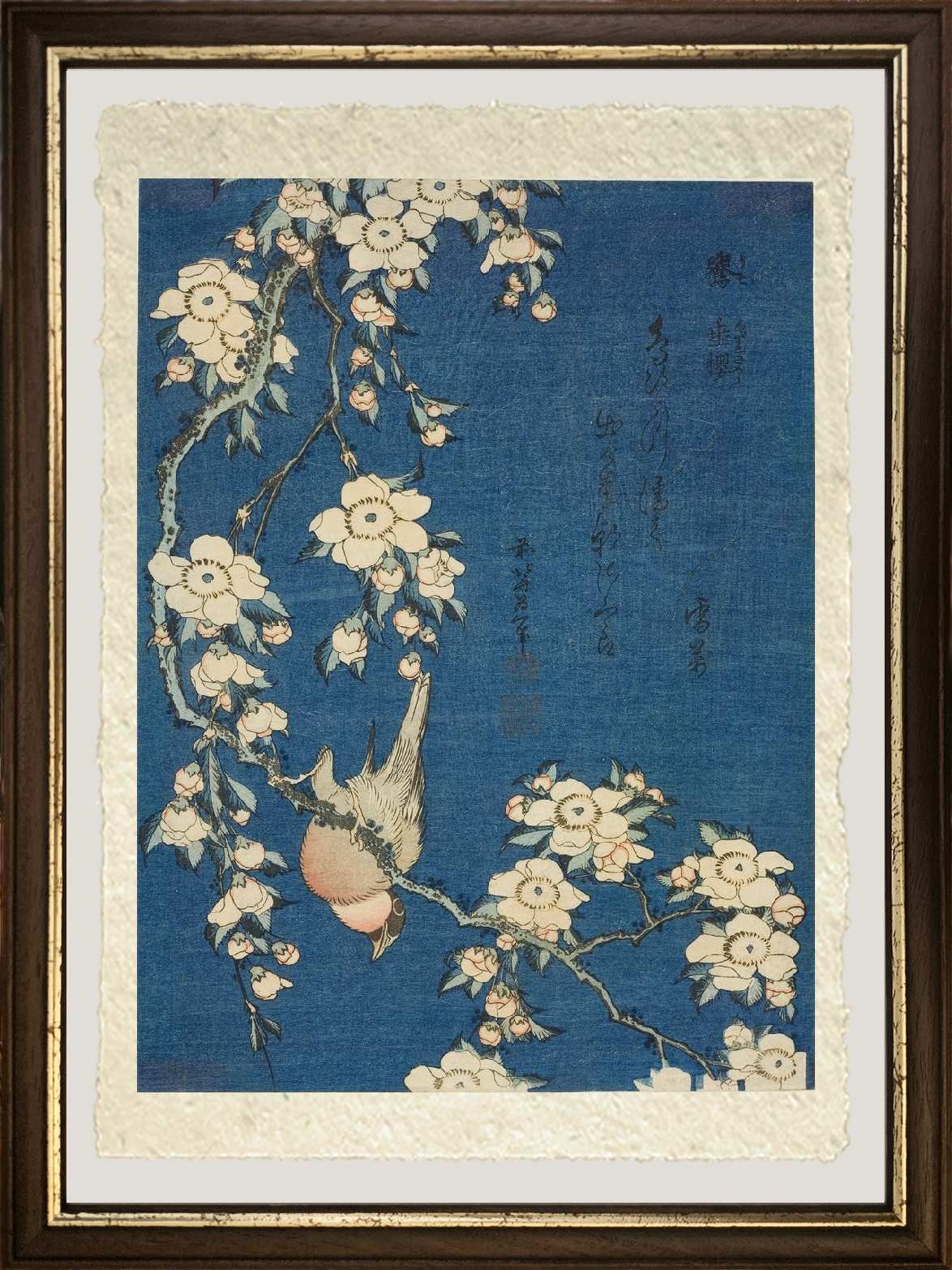 Dettaglio ravvicinato della stampa su carta Amalfi “Fringuello e Ciliegio Piangente” di Katsushika Hokusai