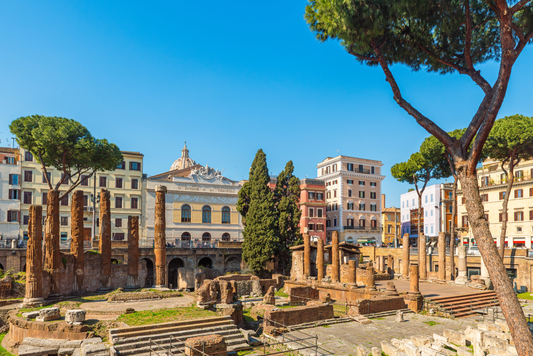 Largo di Torre Argentina, Rome