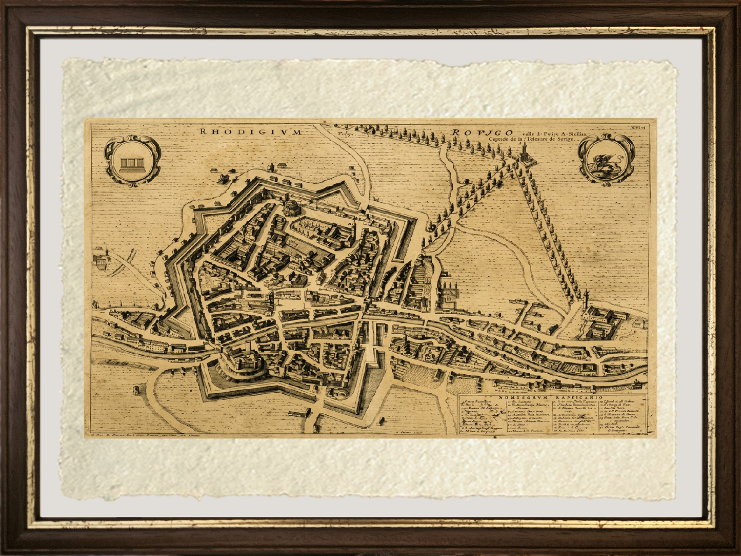 Map of Rovigo, 1704 by Pierre Mortier