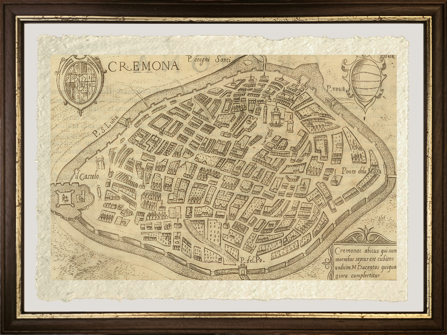 Map of the ancient city of Cremona by Pietro Bertelli