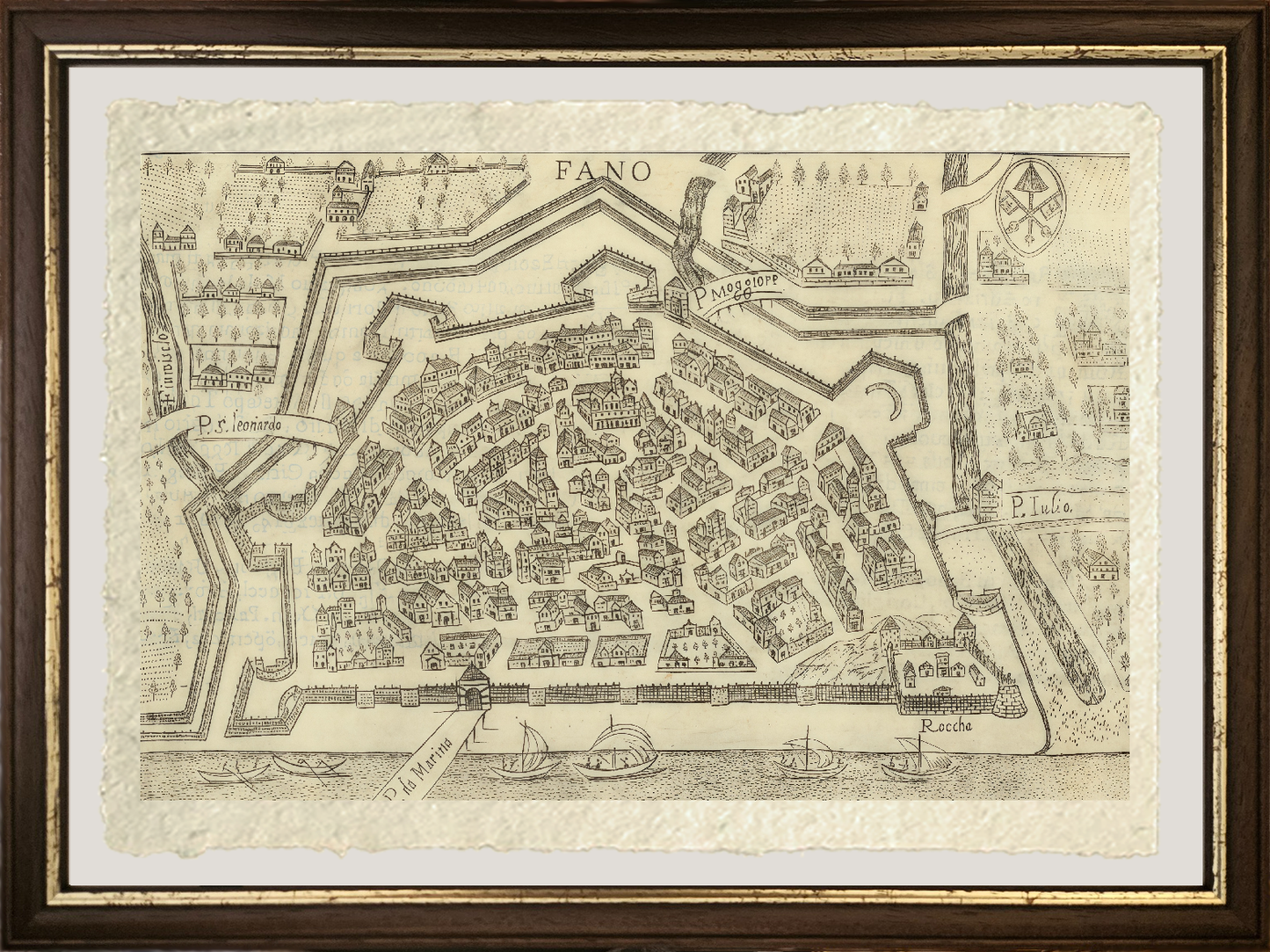 Map of the ancient city of Fano by Pietro Bertelli