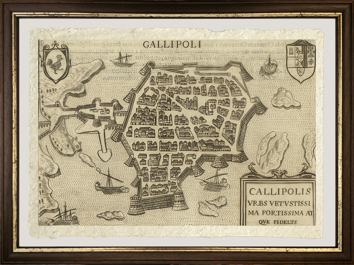 Map of the ancient city of Gallipoli by Pietro Bertelli
