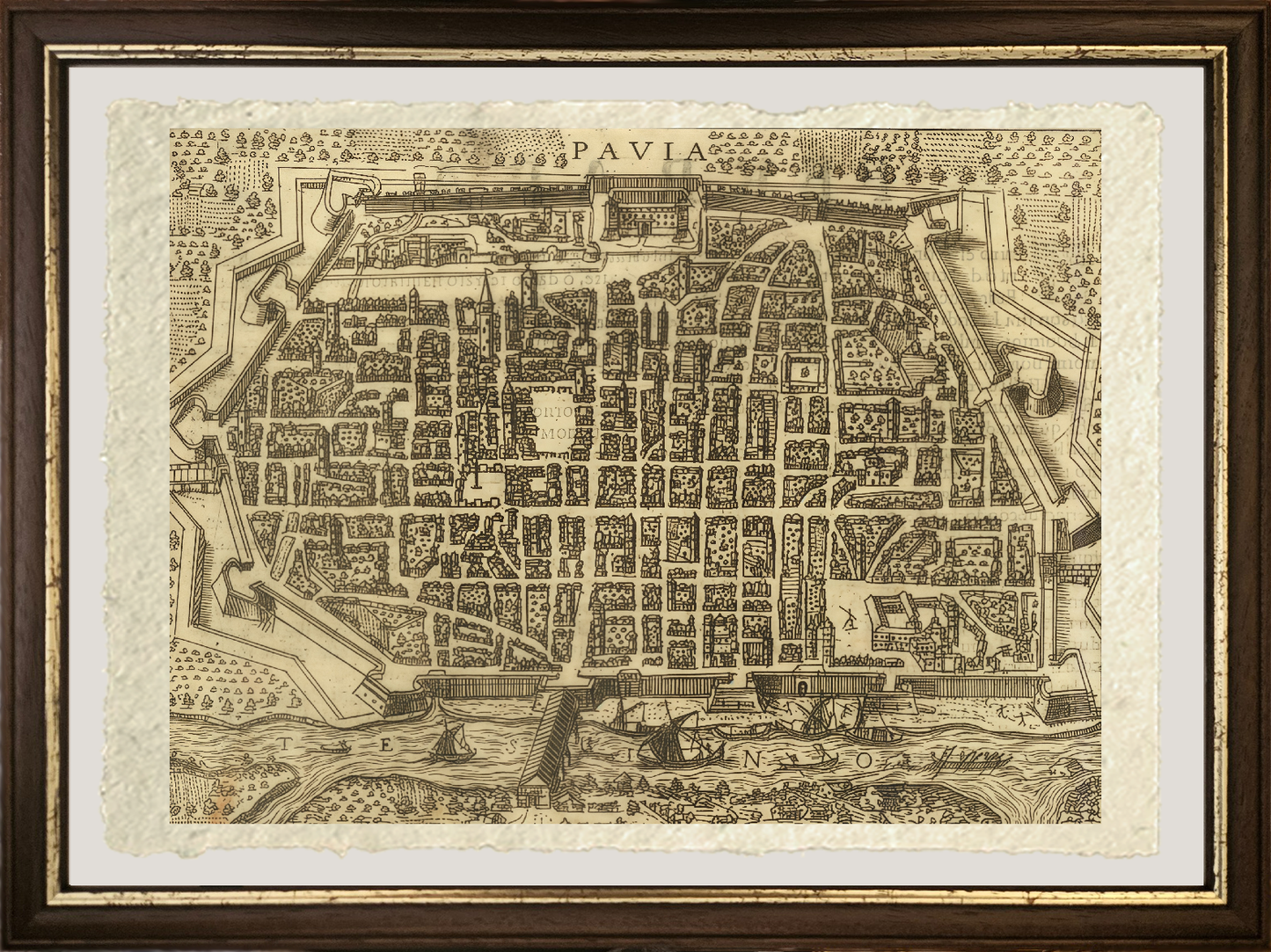 Map of the ancient city of Pavia by Pietro Bertelli