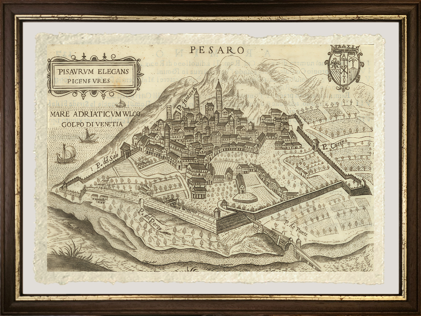 Map of the ancient city of Pesaro by Pietro Bertelli