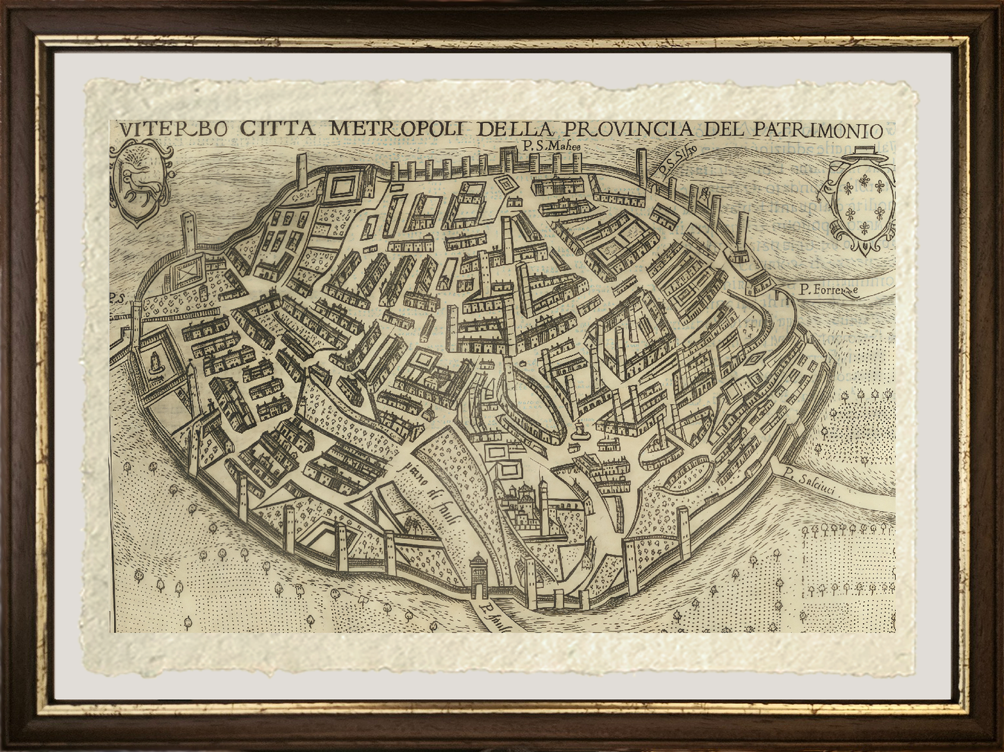 Map of the ancient city of Viterbo by Pietro Bertelli