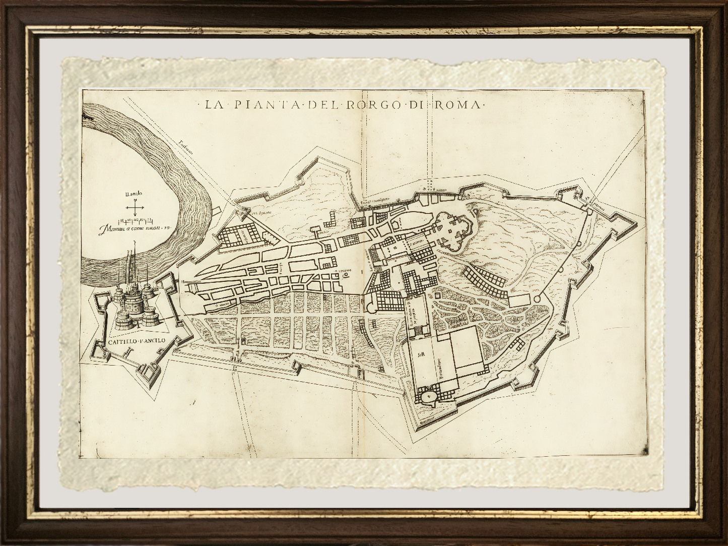 Map of the ancient Borgo Pio district of Rome