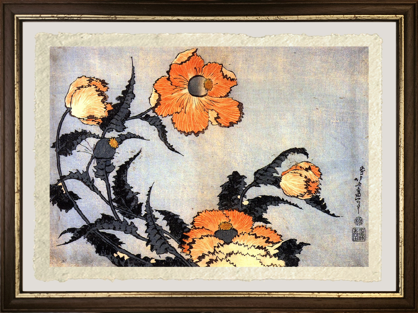 Dettaglio dei Papaveri di Katsushika Hokusai su carta Amalfi