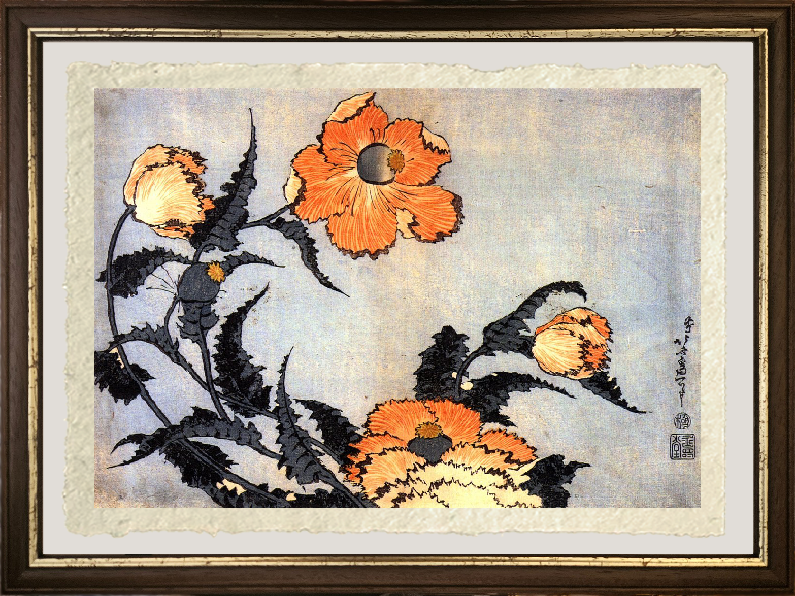 Dettaglio dei Papaveri di Katsushika Hokusai su carta Amalfi
