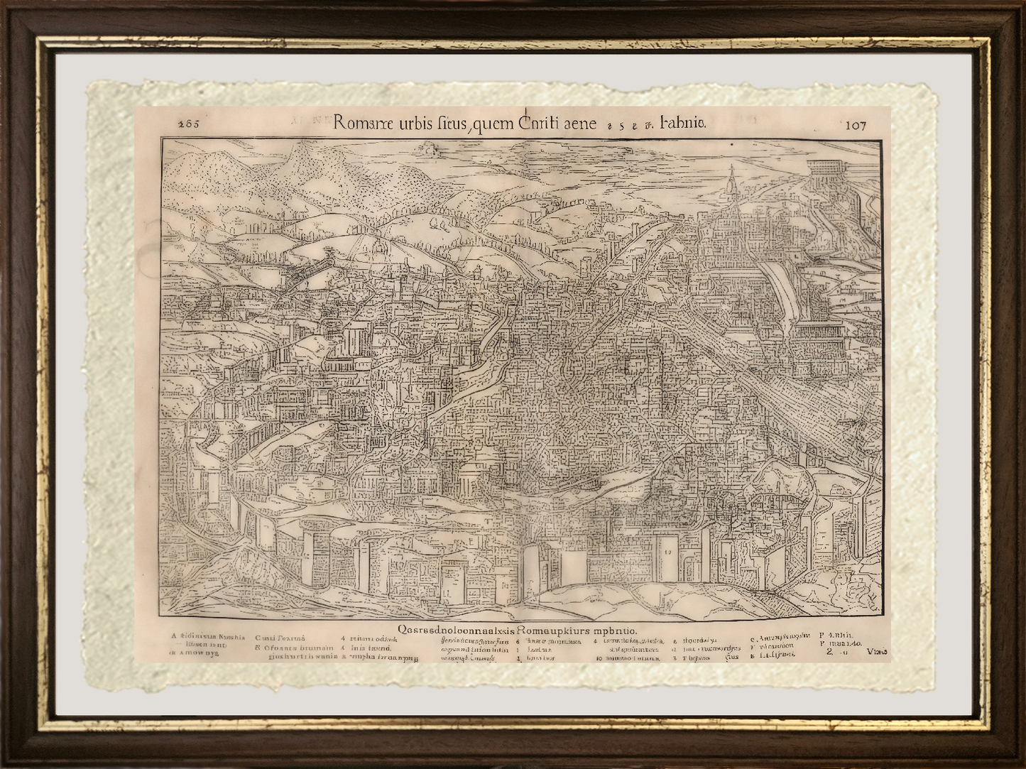 Romanae urbis situs, quem Christi anno 1549 habet 