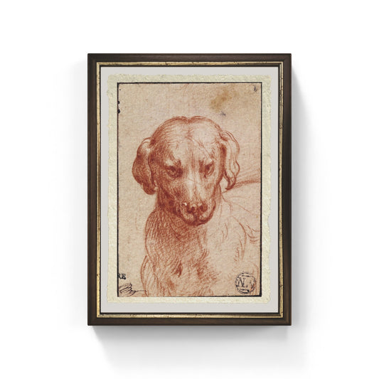 Testa di Cane di Parmigianino su carta Amalfi
