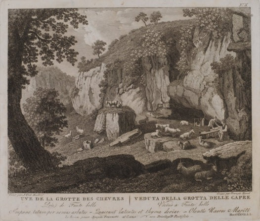 Uve (sic) della Grotte des Chevres (n. X) - Jakob-Philipp Hackert