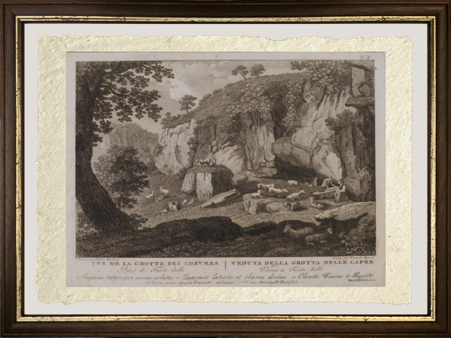 Uve (sic) della Grotte des Chevres (n. X) - Jakob-Philipp Hackert