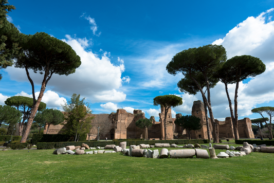 View of the Baths of Caracalla, Rome