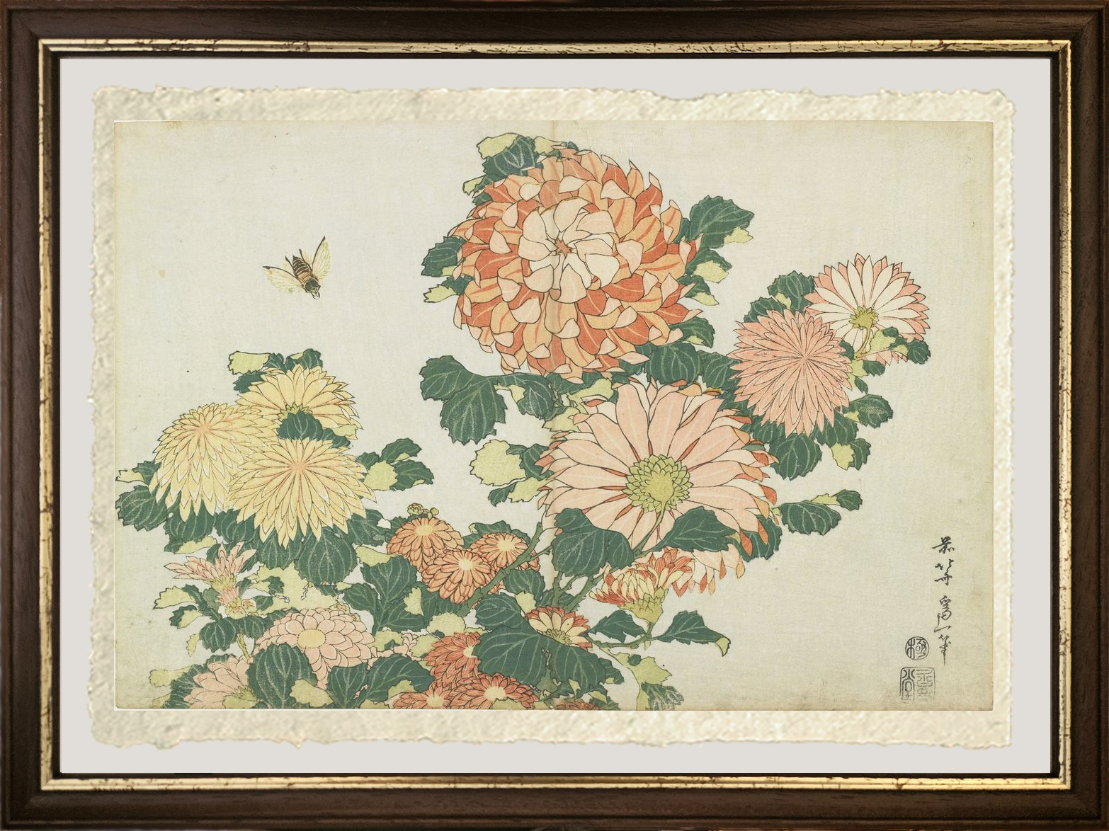 Dettaglio ravvicinato di Crisantemi e tafano di Katsushika Hokusai su carta Amalfi