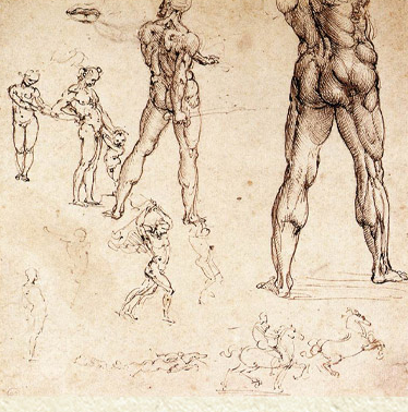 Anatomical studies by Leonardo Da Vinci on fine Amalfi paper
