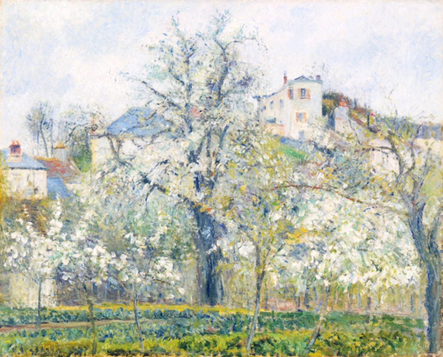 Printemps. Pruniers en fleurs di Camille Pissarro su pregiata carta Amalfi