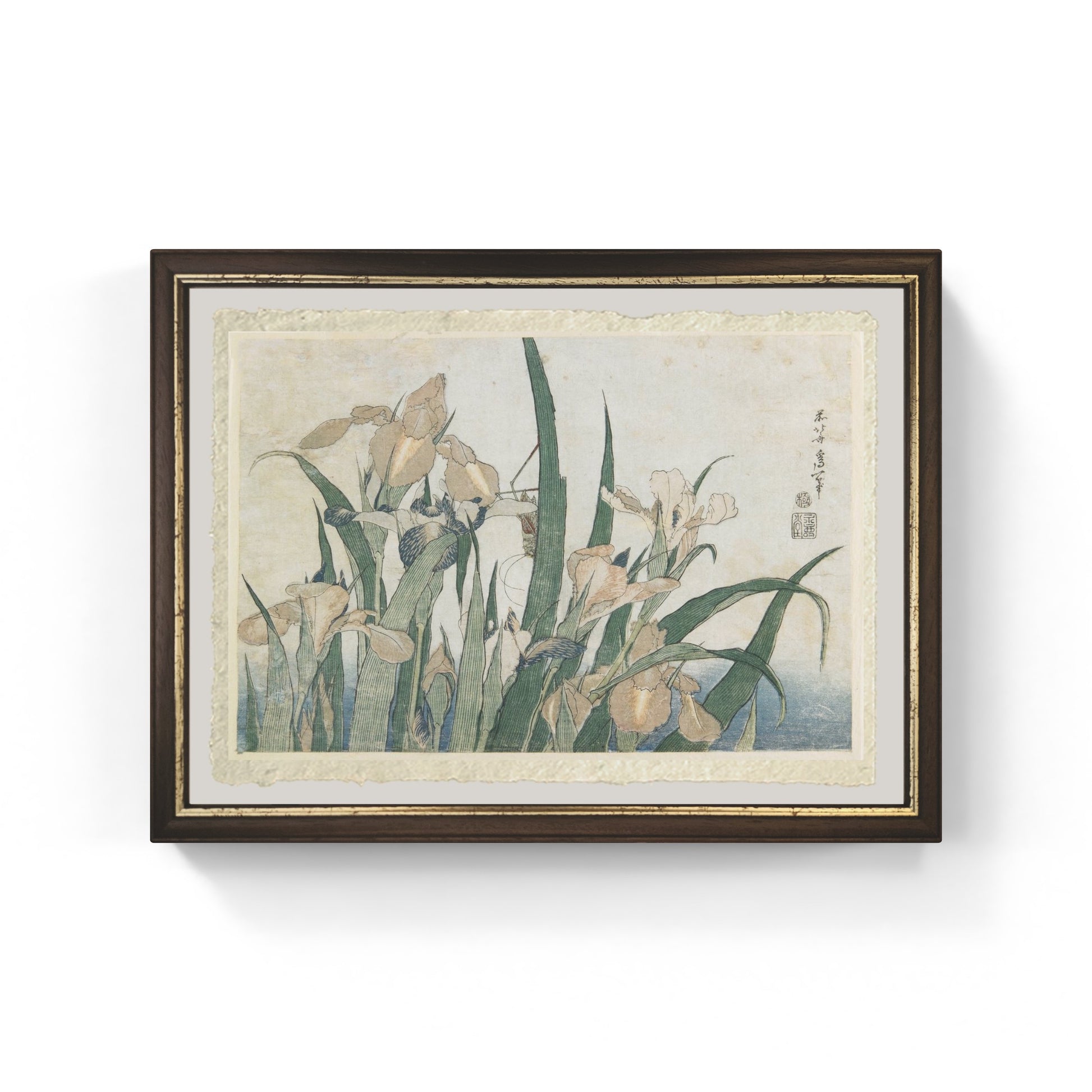 fiori di iris e cavalletta di katsushika hokusai su carta amalfi
