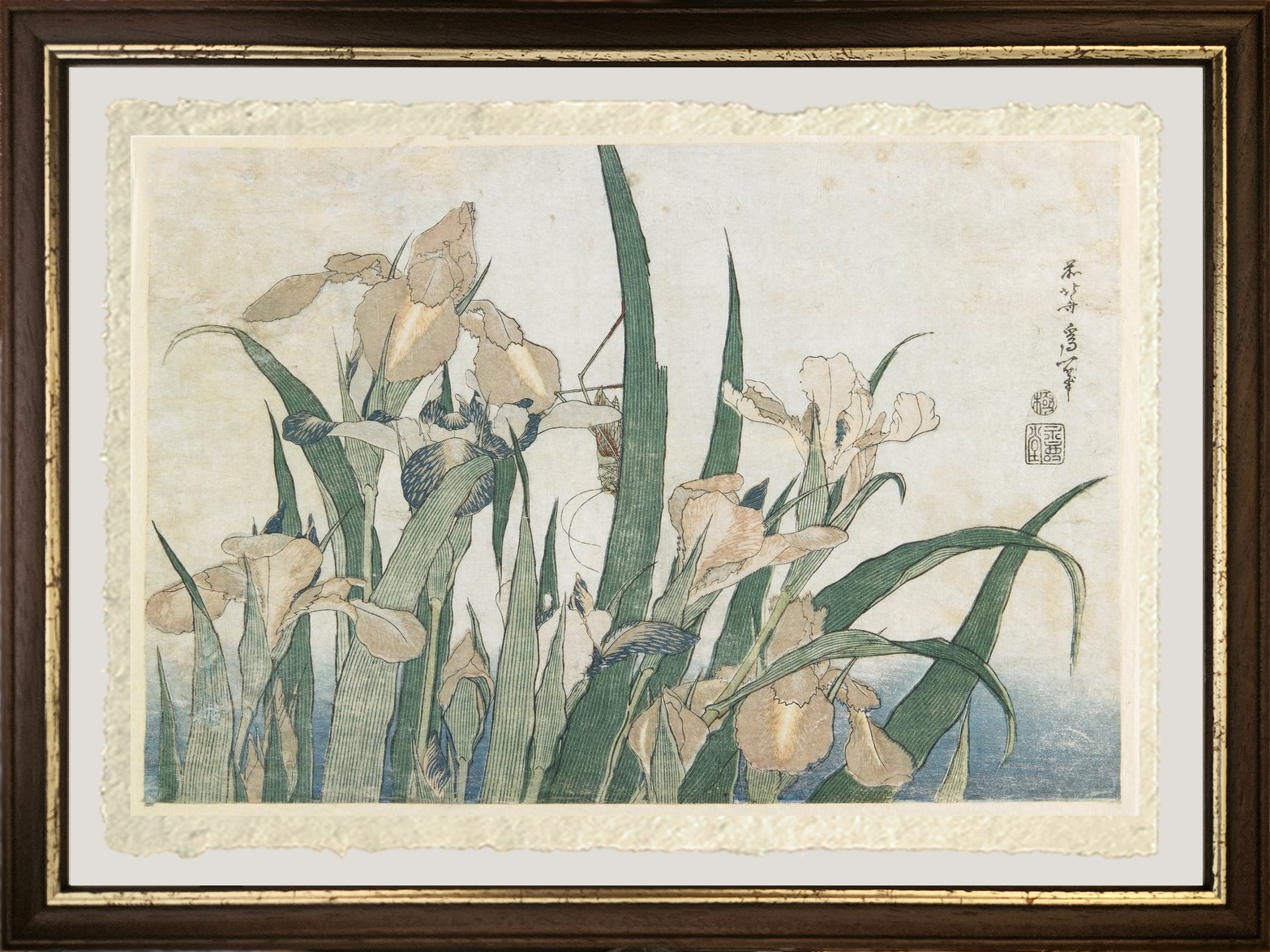 fiori di iris e cavalletta di katsushika hokusai su carta amalfi