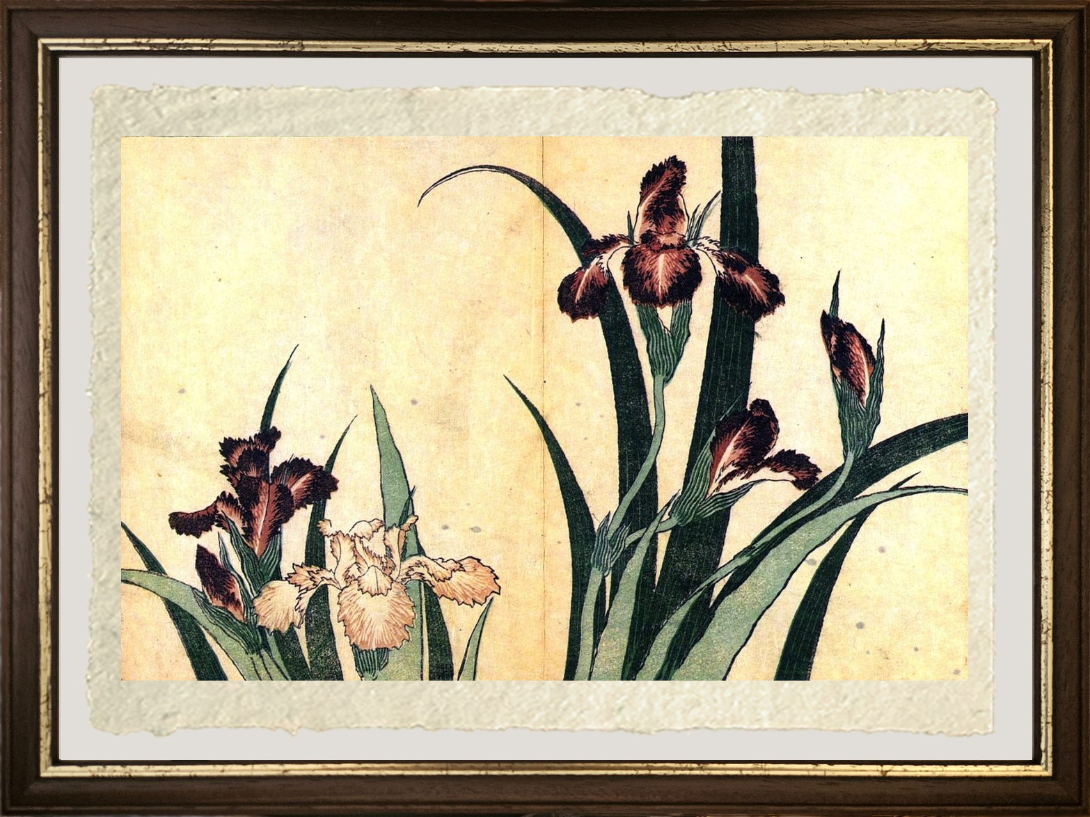 dettaglio stampa iris di hokusai su carta amalfi ad alta qualità