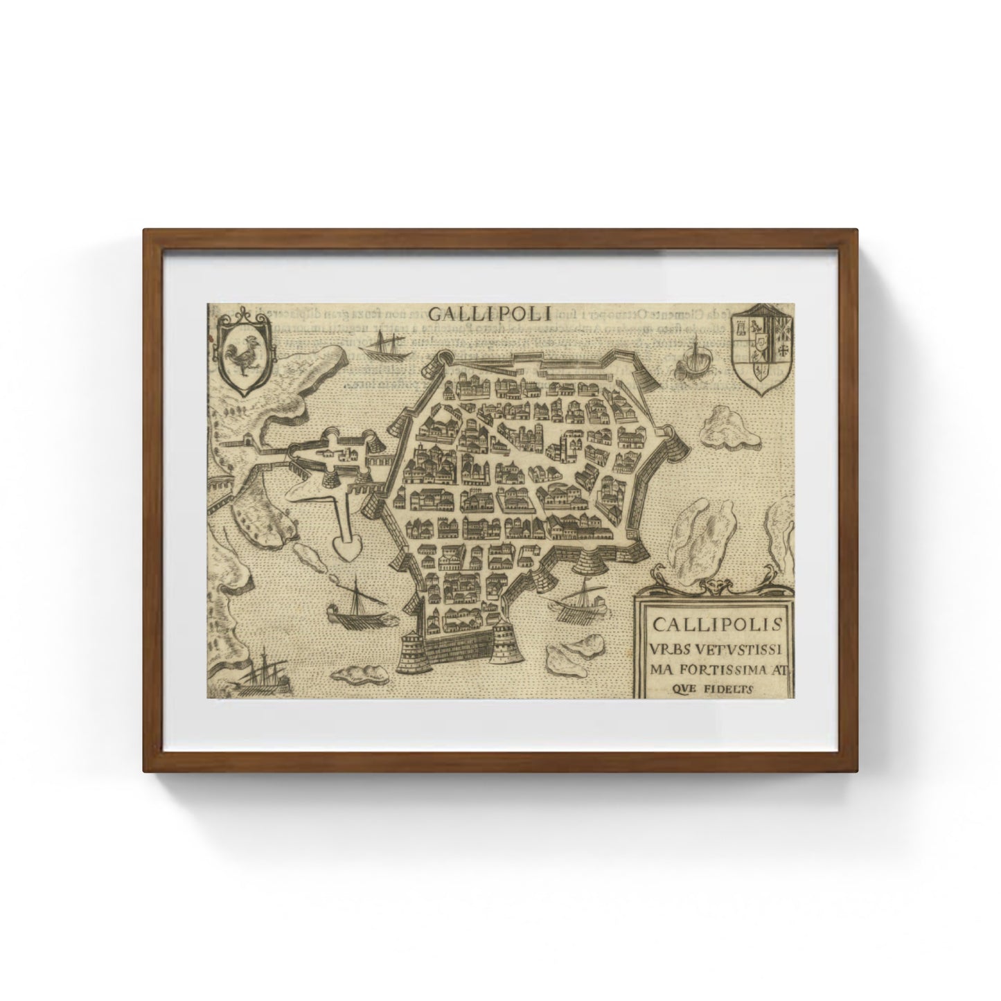 Mappa dell'antica città di Gallipoli di Pietro Bertelli