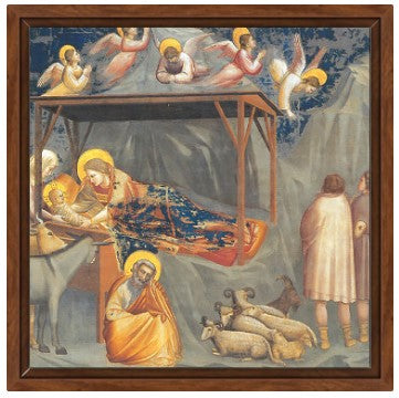Natività di Gesù, Giotto.