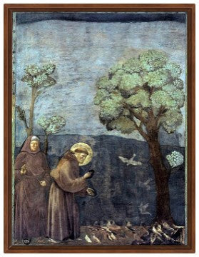 Giotto. Predica agli uccelli - Riproduzione su carta Amalfi