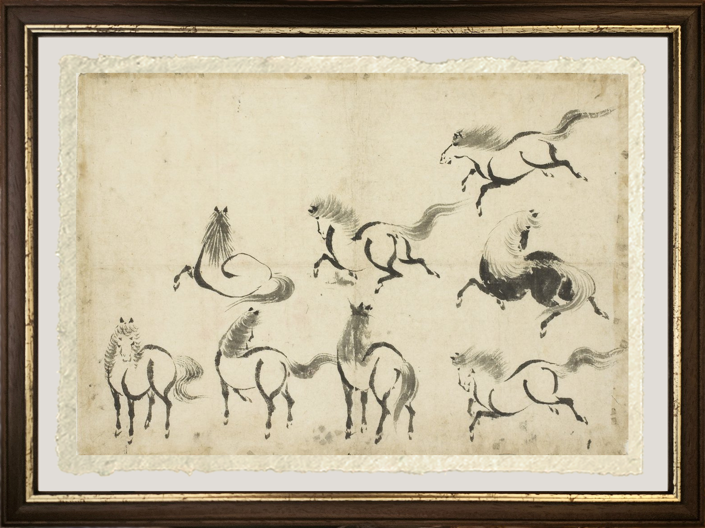 dettaglio ravvicinato studi di cavalli katsushika hokusai stampa su carta amalfi