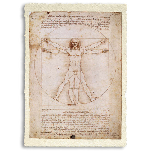 Uomo Vitruviano. Leonardo Da Vinci. Riproduzione su carta Amalfi