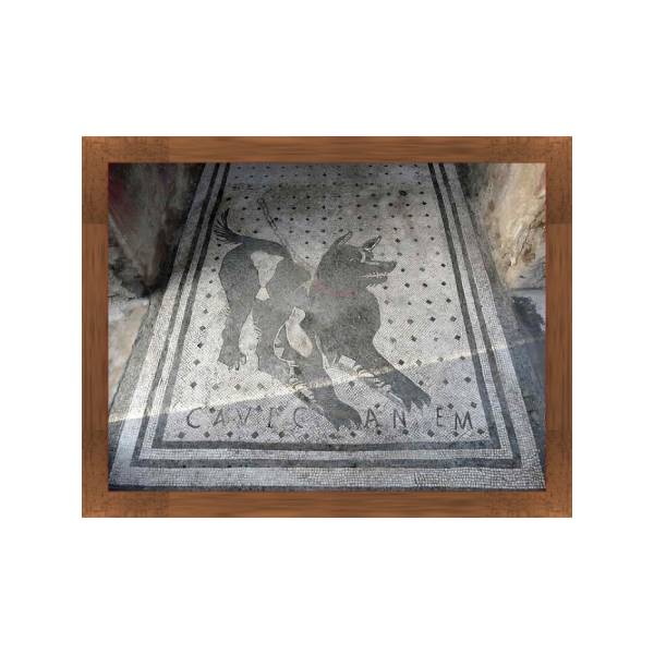 Mosaico Cave Canem Pompei