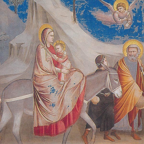 La fuga in Egitto, Giotto. Riproduzione su carta Amalfi
