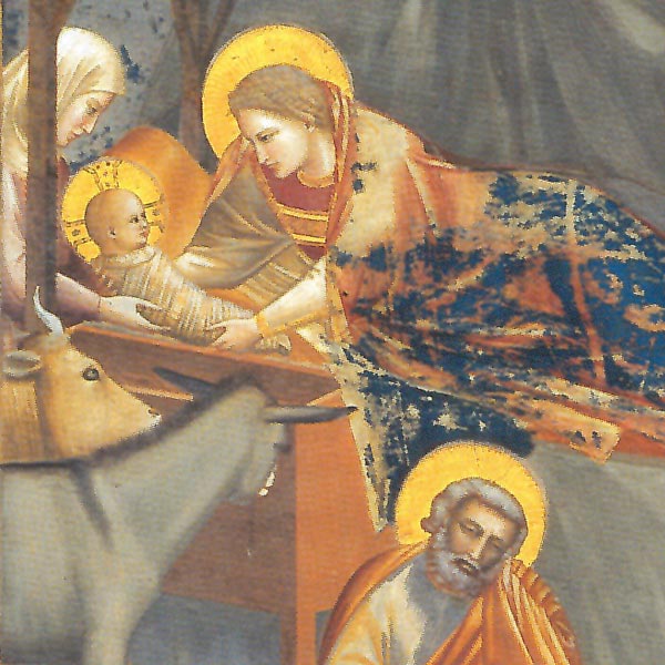 Natività di Gesù, Giotto. Riproduzione su carta Amalfi
