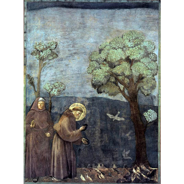Giotto. Predica agli uccelli - Riproduzione su carta Amalfi