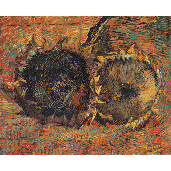 Natura morta con due girasoli, Van Gogh. Riproduzione